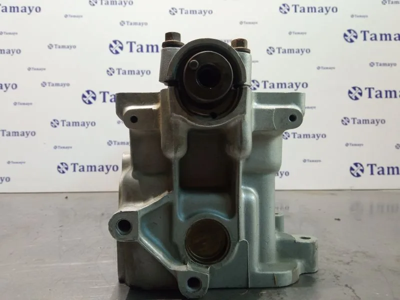 Culata para Fiat Croma (194)