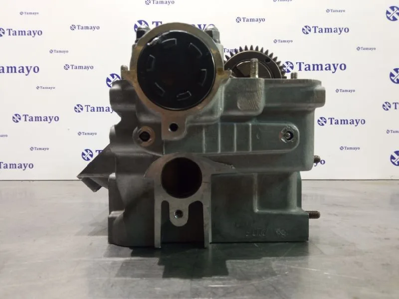Culata para Volkswagen Passat Berlina (3B2)
