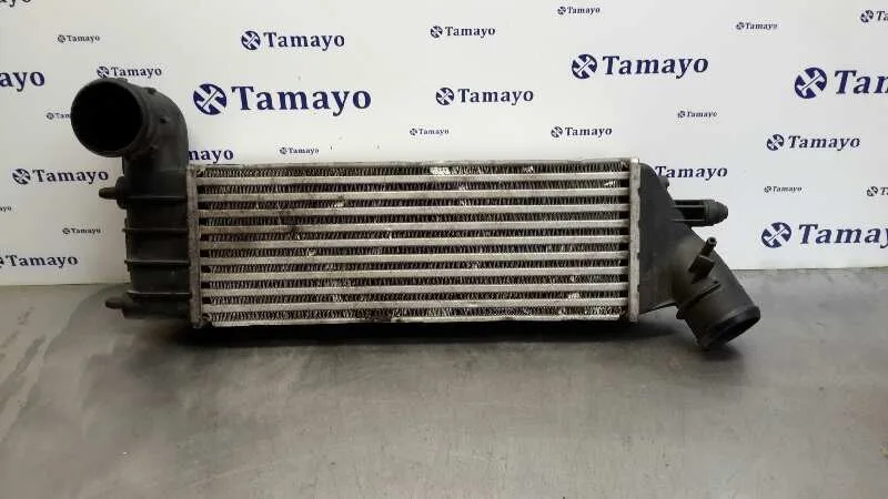 Intercooler para Citroën C8