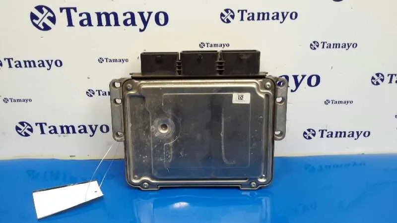 Centralita Motor Uce para Ford Fiesta (Cb1)