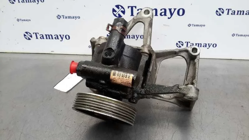 Bomba Servodireccion para Renault Scenic Ii