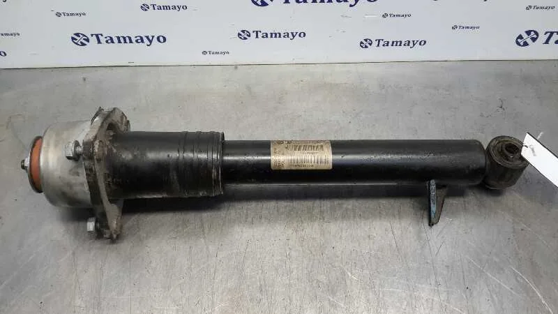 Amortiguador Trasero Derecho para Bmw X5 (E70)