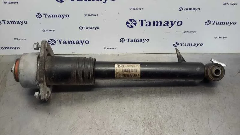 Amortiguador Trasero Izquierdo para Bmw X5 (E70)