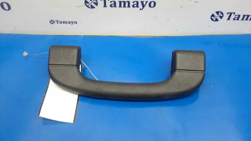 Asidero Delantero Derecho para Bmw X5 (E70)