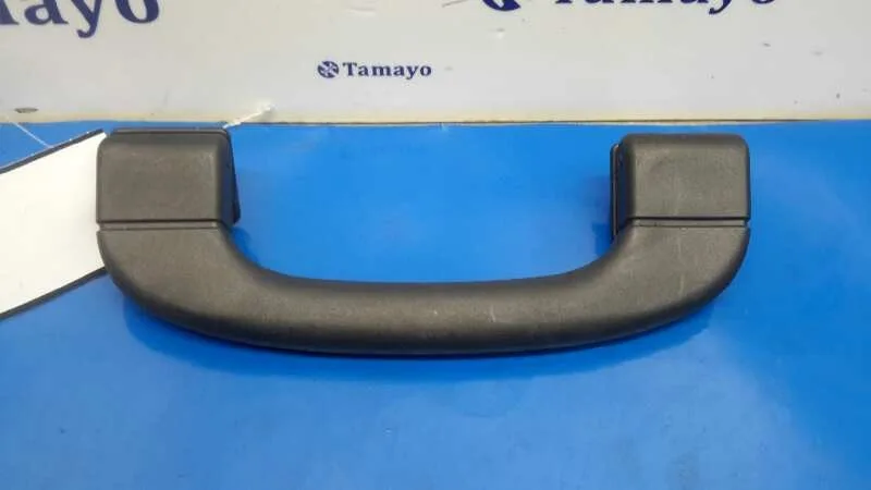 Asidero Delantero Izquierdo para Bmw X5 (E70)