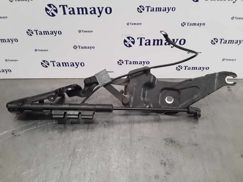Amortiguadores Capo para Bmw X5 (E70)