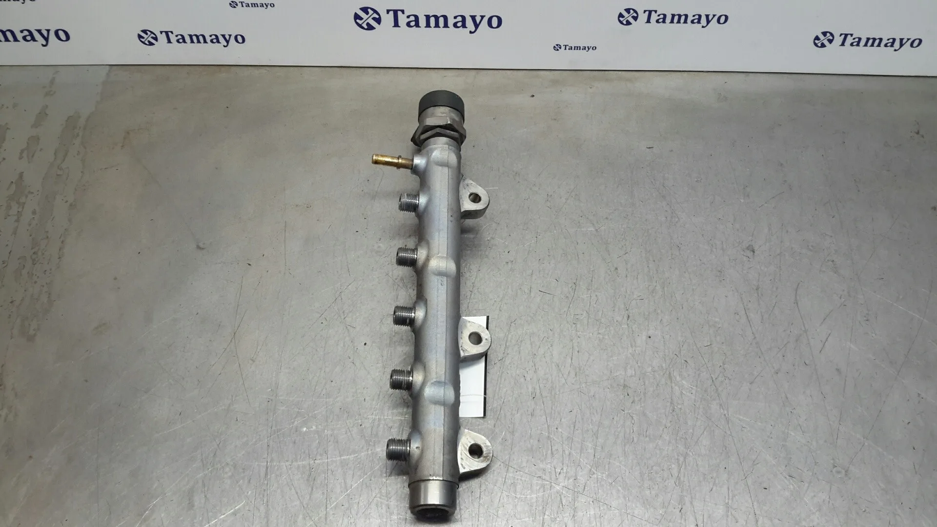 Rampa Inyectora para Renault Trafic Caja Cerrada (Ab 4.01)