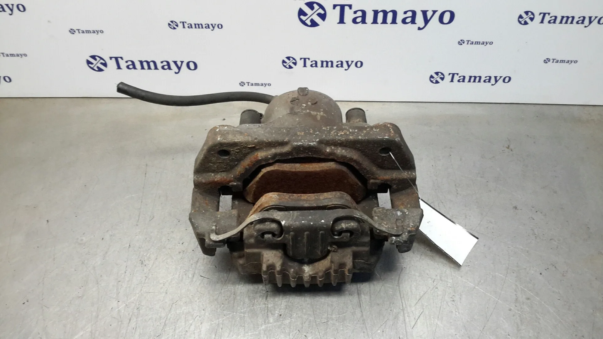 Pinza Freno Delantera Derecha para Bmw Serie 5 Berlina (E60)