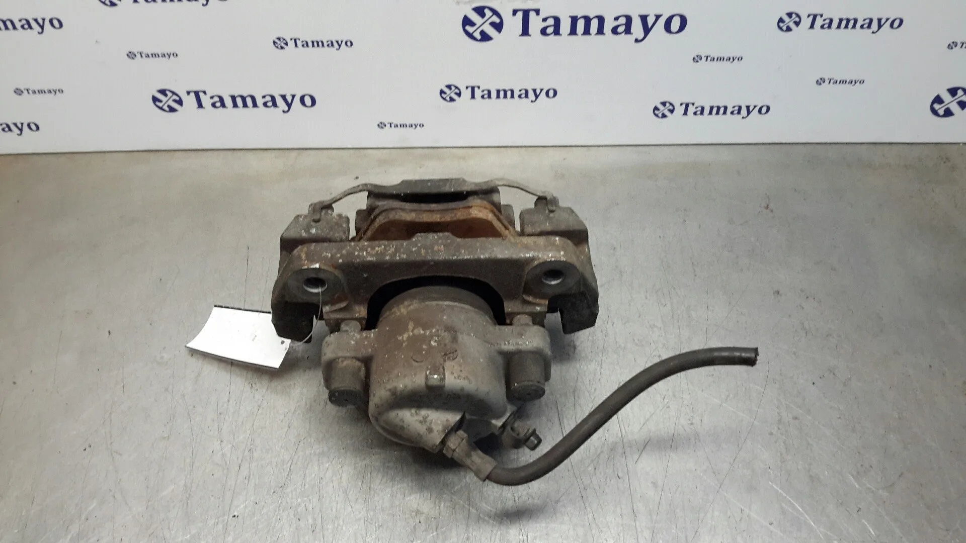 Pinza Freno Delantera Derecha para Bmw Serie 5 Berlina (E60)