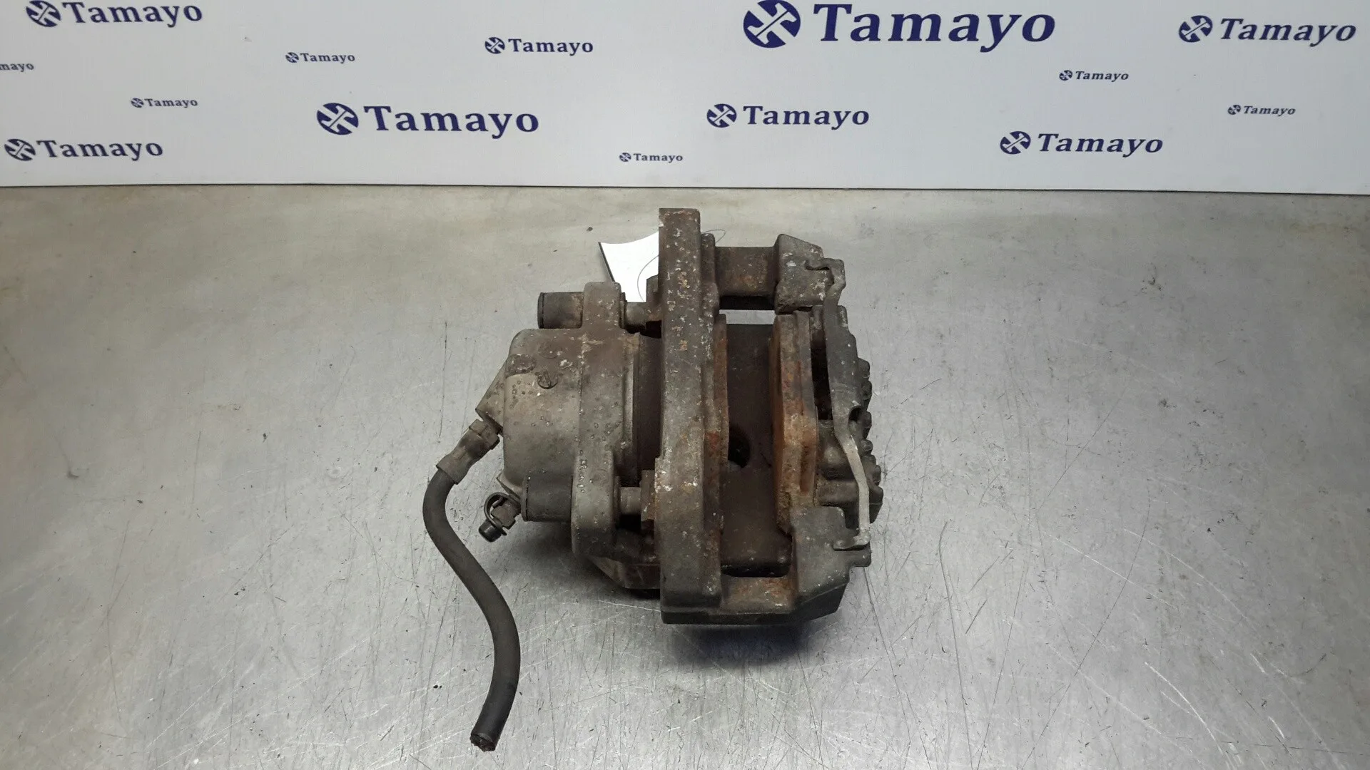 Pinza Freno Delantera Derecha para Bmw Serie 5 Berlina (E60)