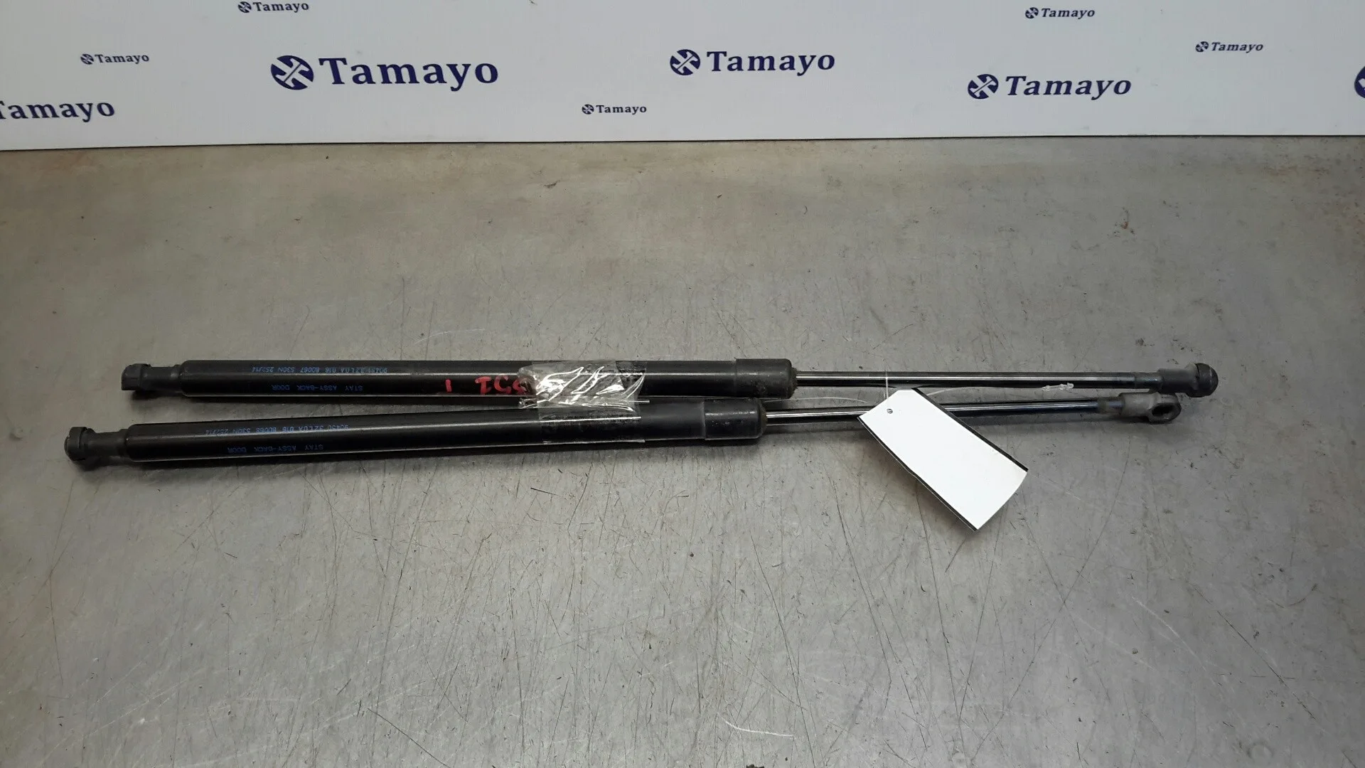 Amortiguadores Maletero / Porton para Nissan Pulsar (C13)