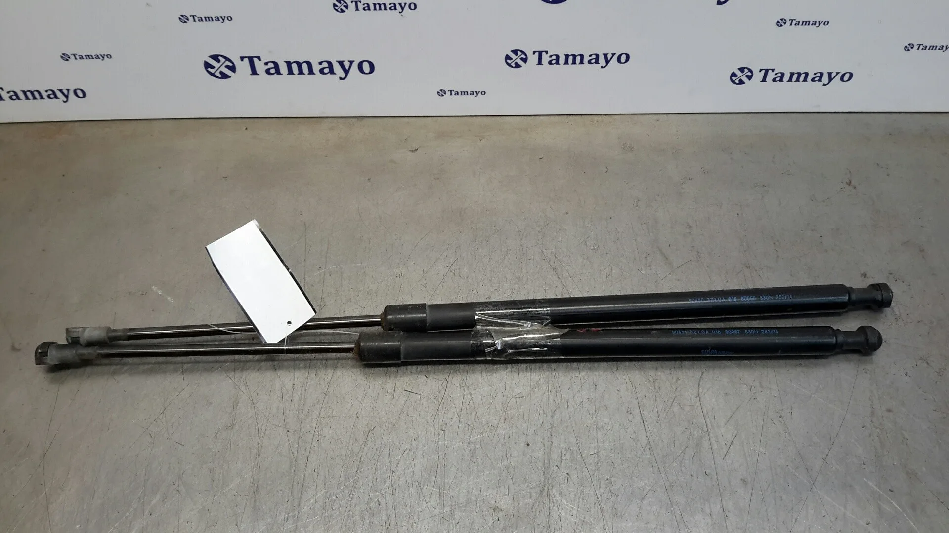 Amortiguadores Maletero / Porton para Nissan Pulsar (C13)
