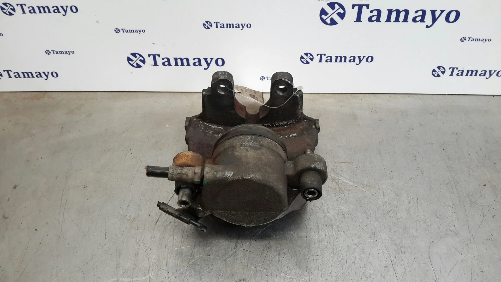 Pinza Freno Delantera Izquierda para Bmw X5 (E70)