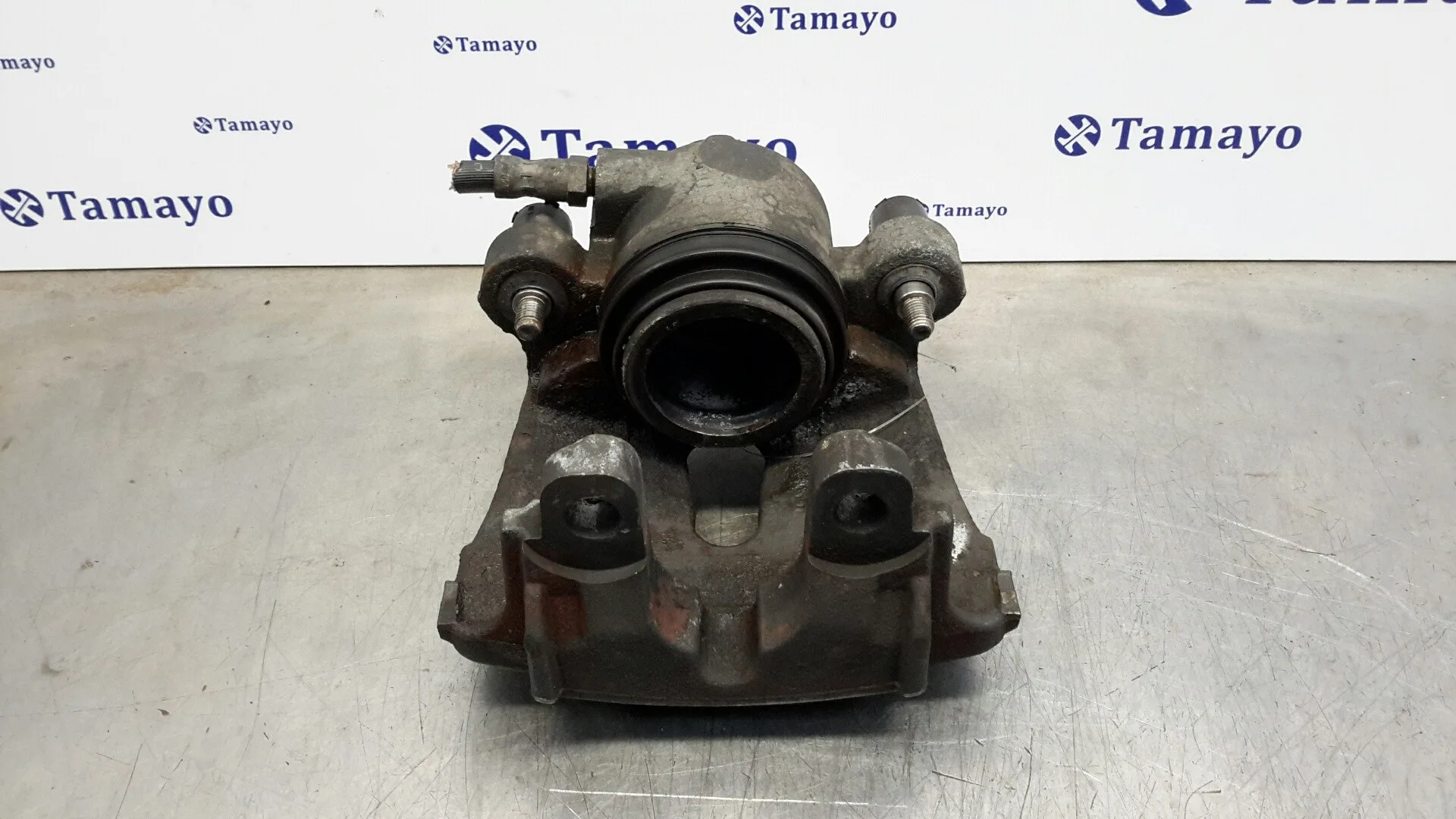 Pinza Freno Delantera Derecha para Bmw X5 (E70)
