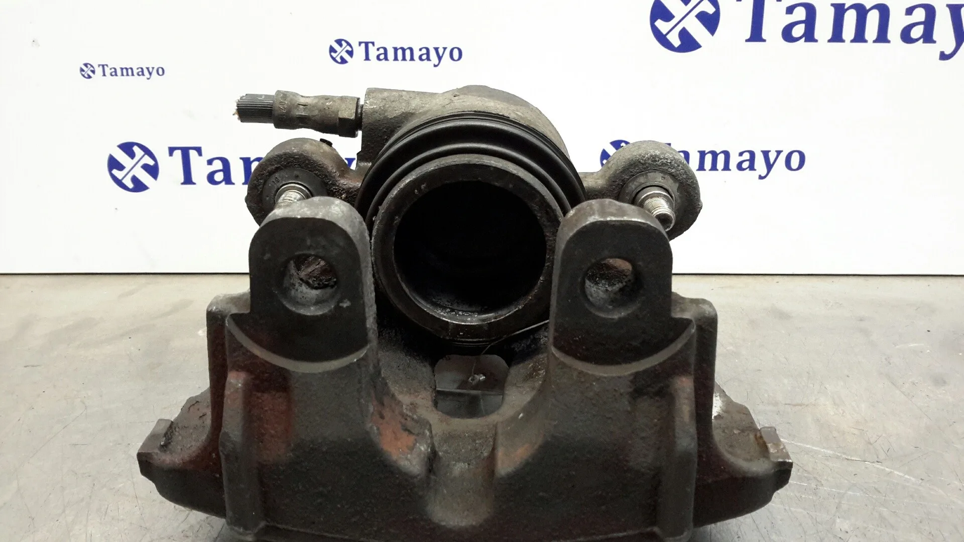 Pinza Freno Delantera Derecha para Bmw X5 (E70)