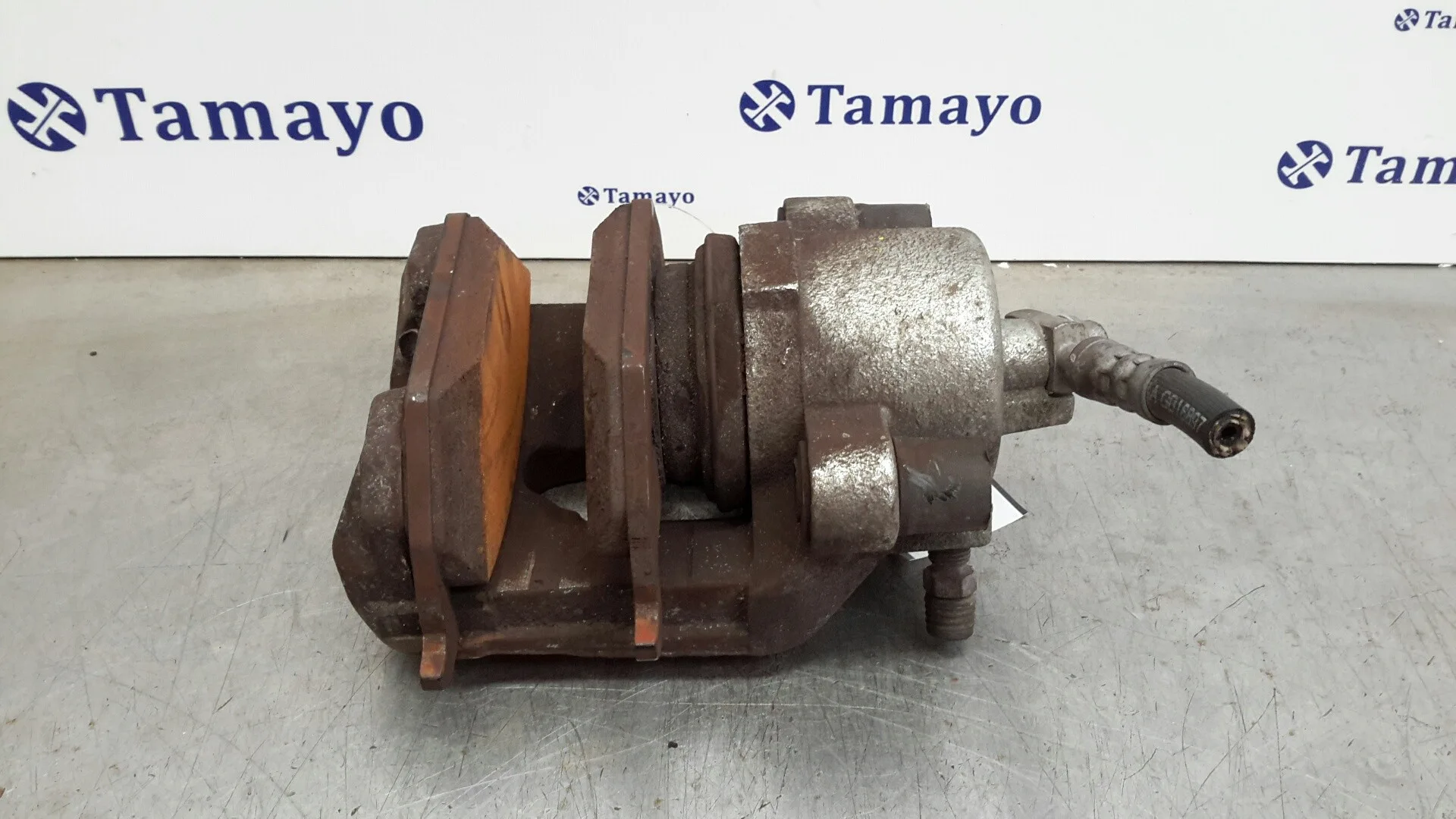 Pinza Freno Delantera Derecha para Seat Ibiza (Kj1)