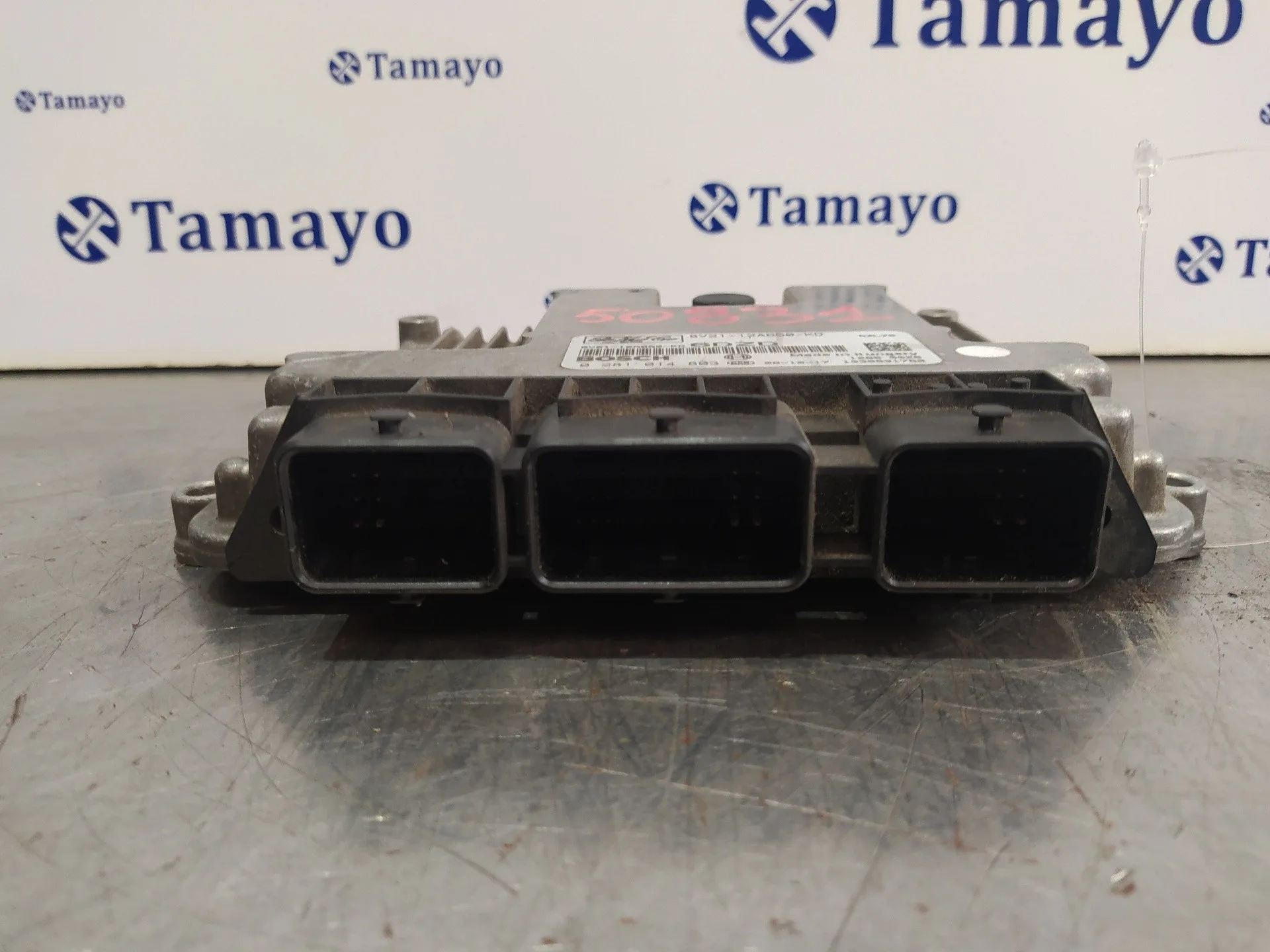 Centralita Motor Uce para Ford Fiesta (Cb1)