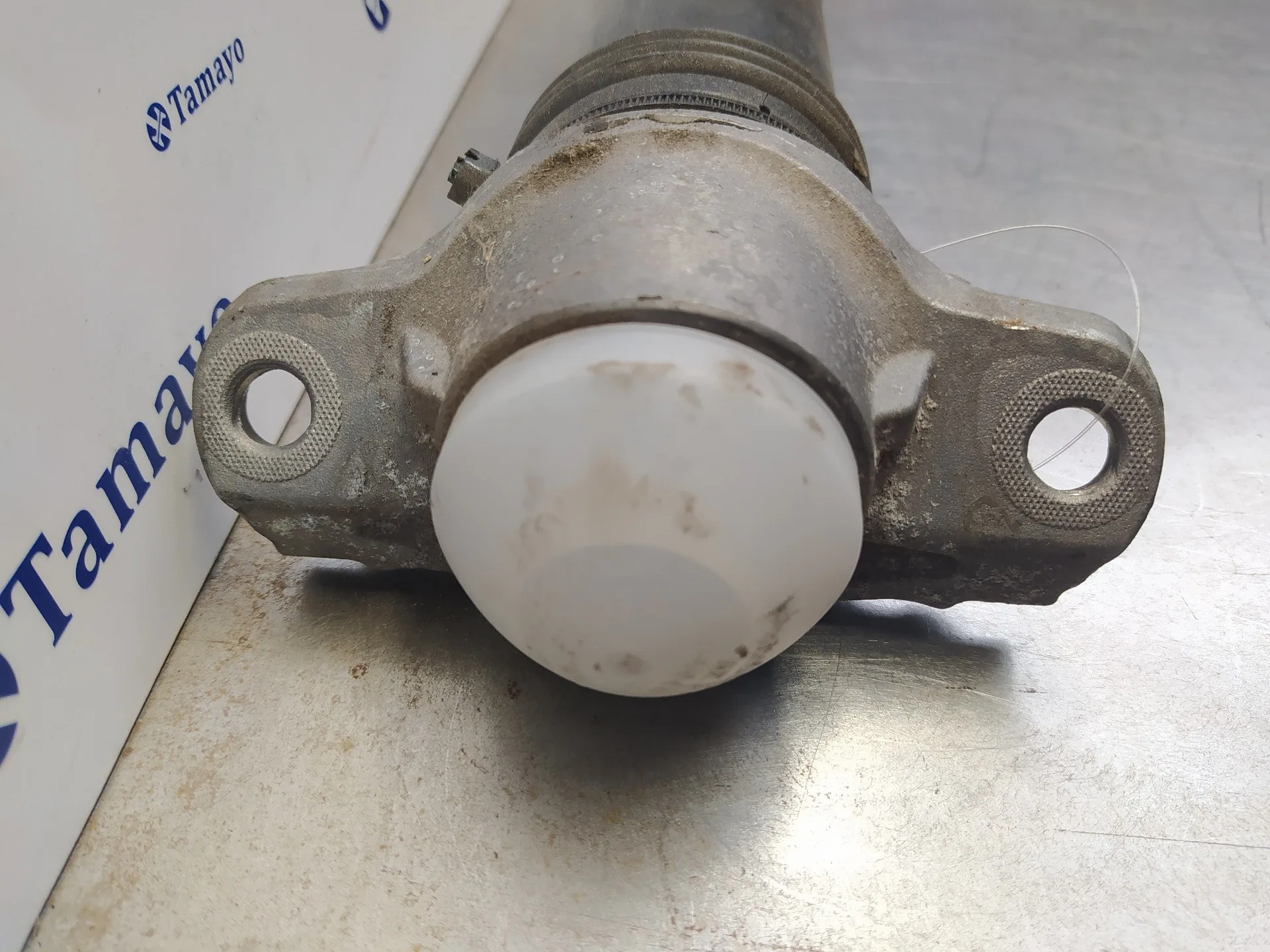 Amortiguador Trasero Izquierdo para Seat Ibiza (Kj1)