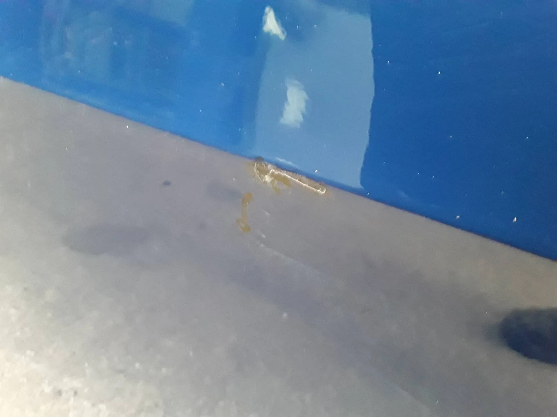 Puerta Delantera Derecha para Seat Ibiza (6P1)