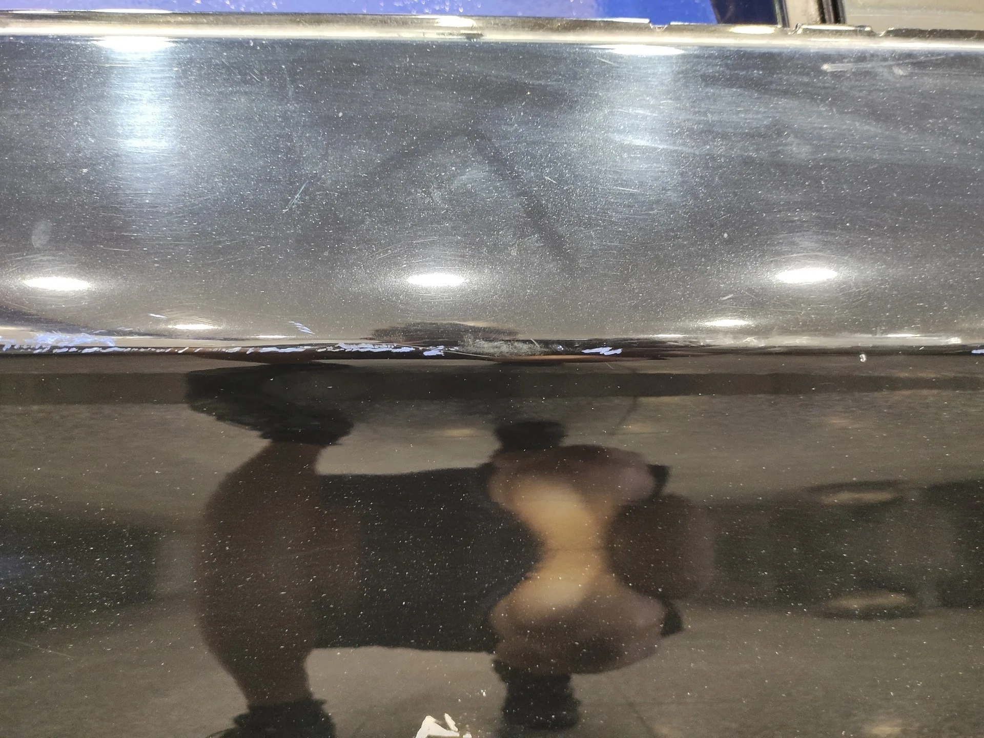 Puerta Trasera Derecha para Bmw Serie 5 Lim. (F10)