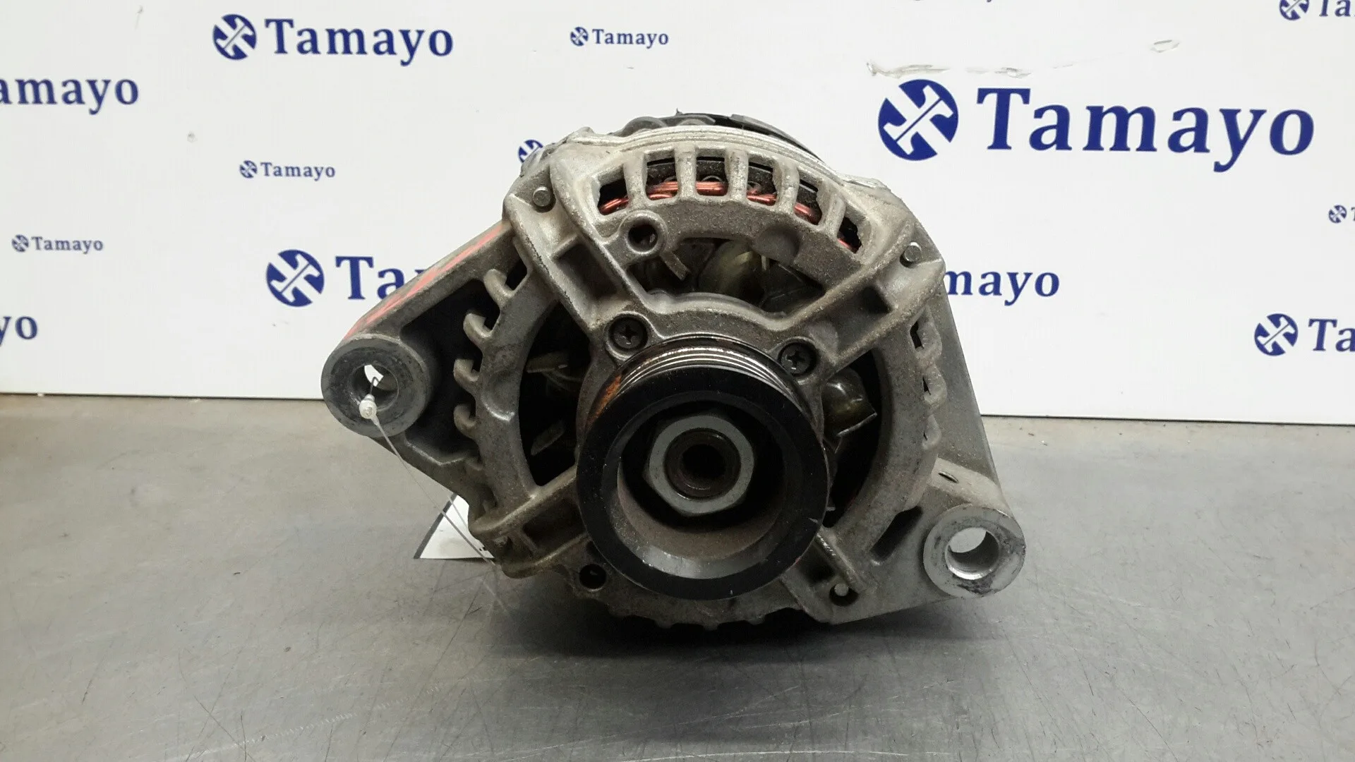 Alternador para Mg Serie 45 (Rt)