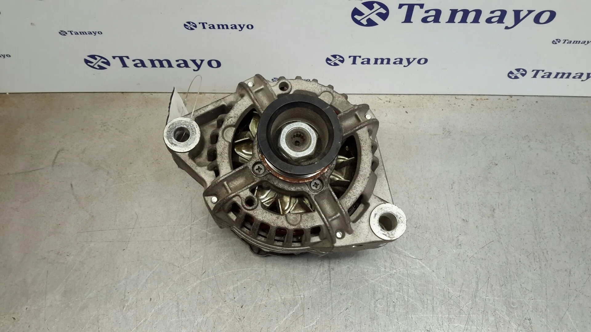 Alternador para Mg Serie 45 (Rt)