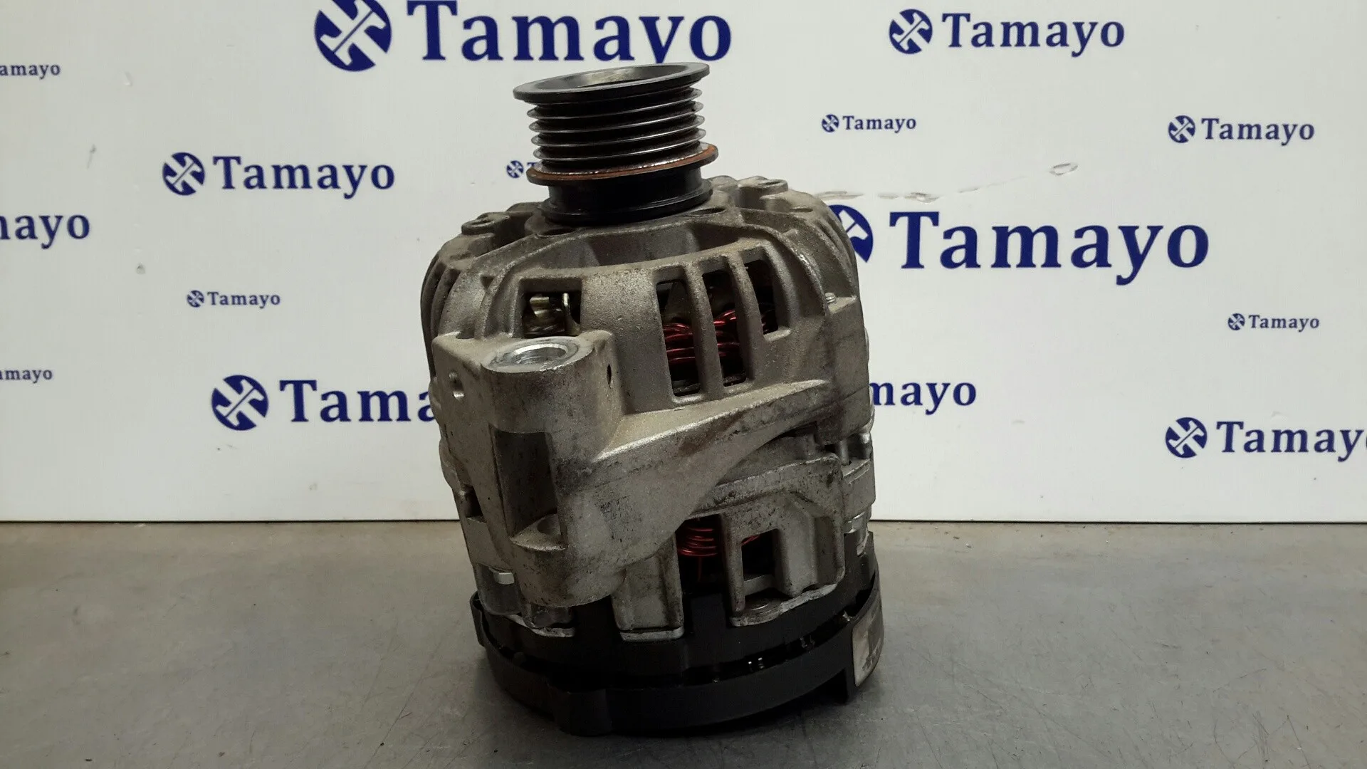 Alternador para Mg Serie 45 (Rt)