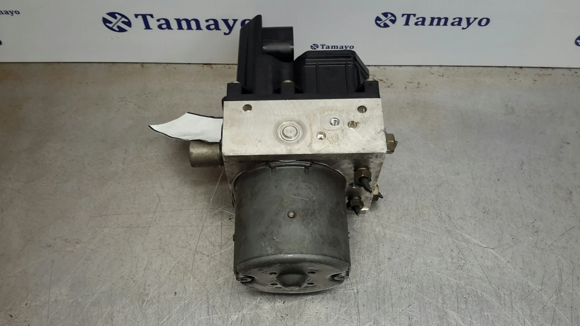 Abs para Mg Mg Zt