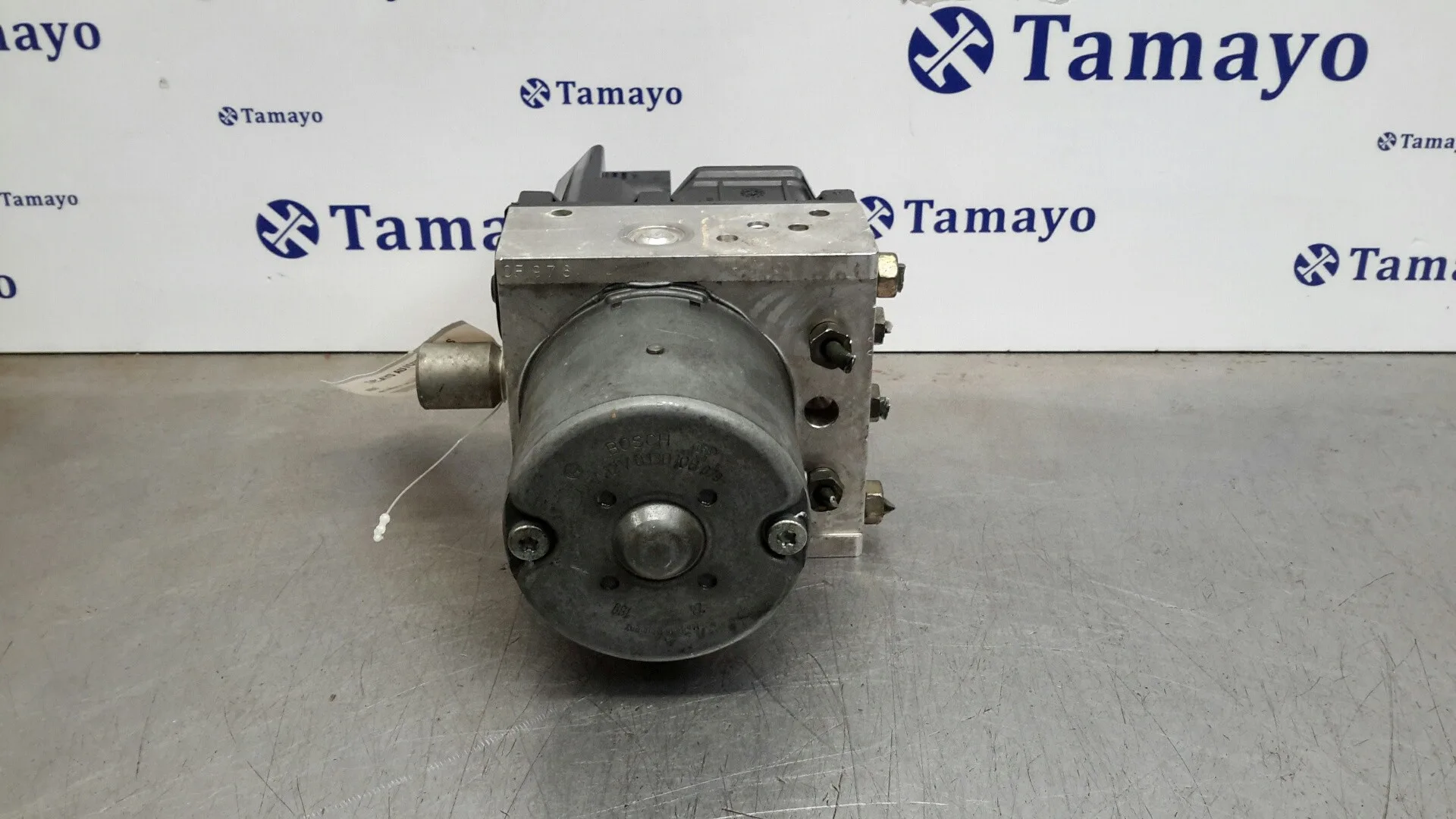 Abs para Mg Mg Zt