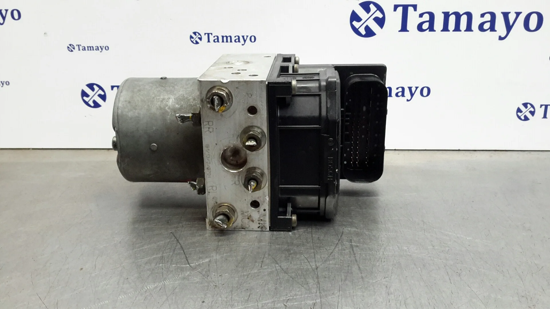 Abs para Mg Mg Zt