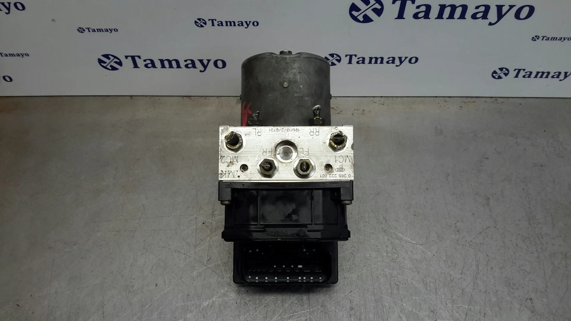 Abs para Mg Mg Zt
