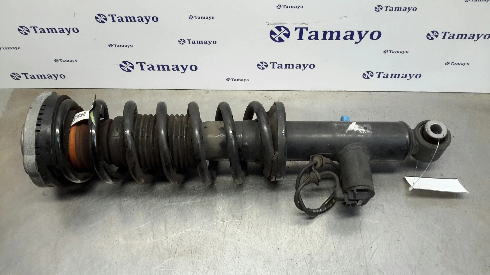 Amortiguador Trasero Izquierdo para Bmw X3 (F25)