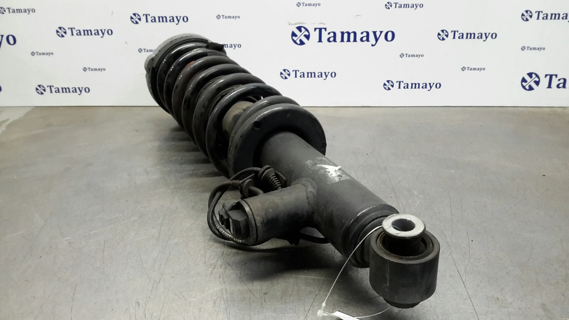 Amortiguador Trasero Izquierdo para Bmw X3 (F25)