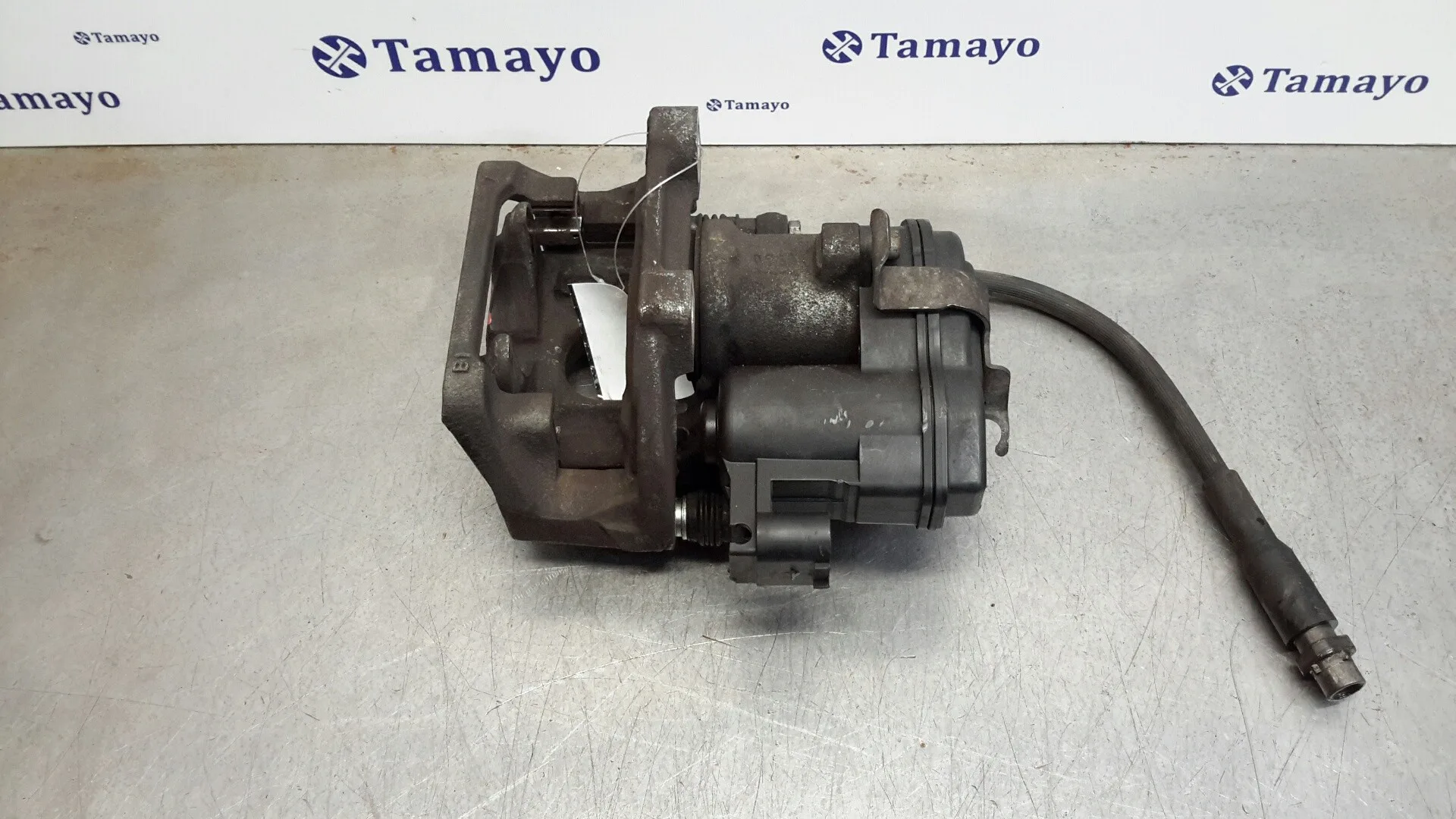 Pinza Freno Trasera Derecha para Bmw X3 (F25)