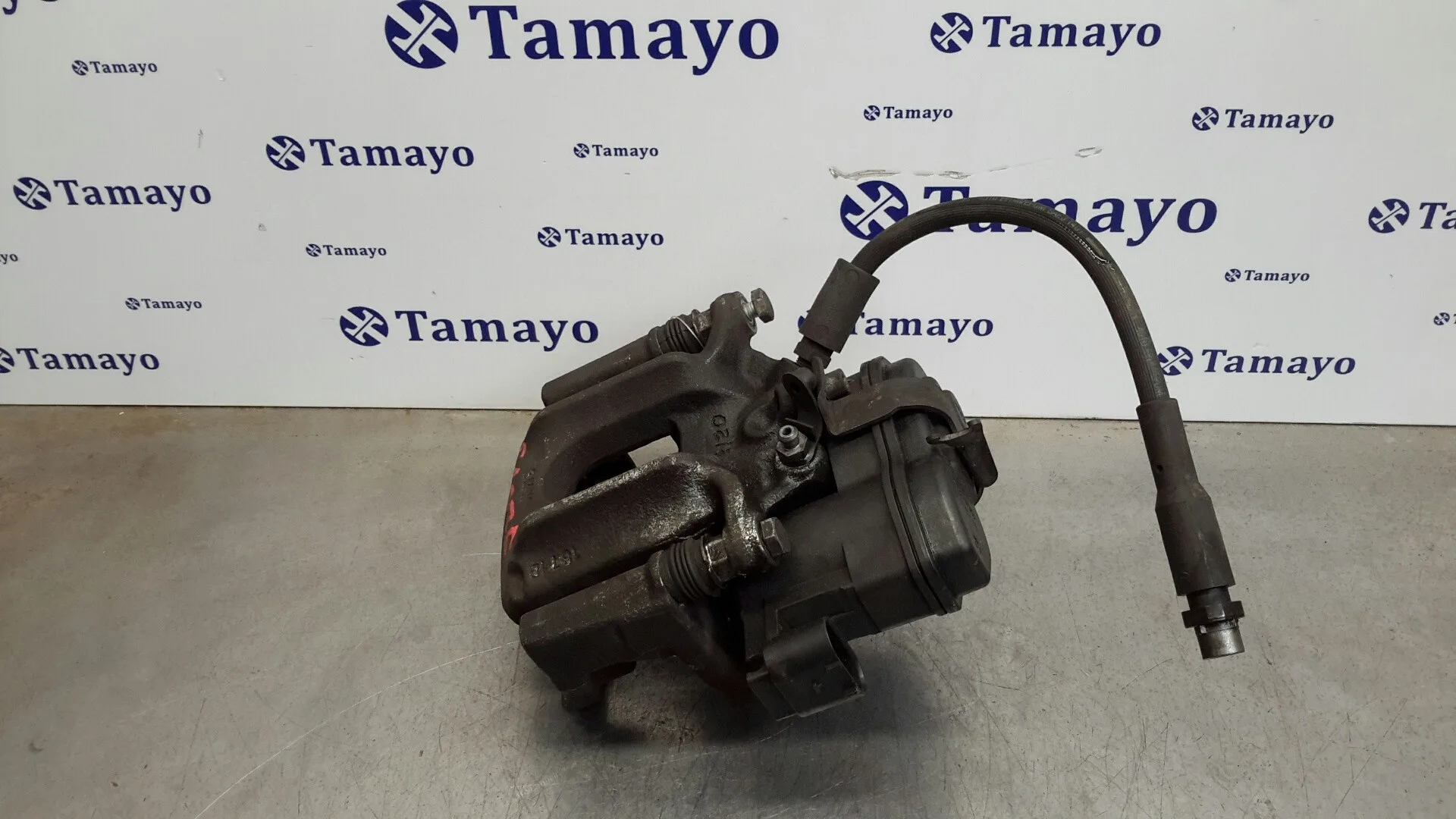 Pinza Freno Trasera Izquierda para Bmw X3 (F25)