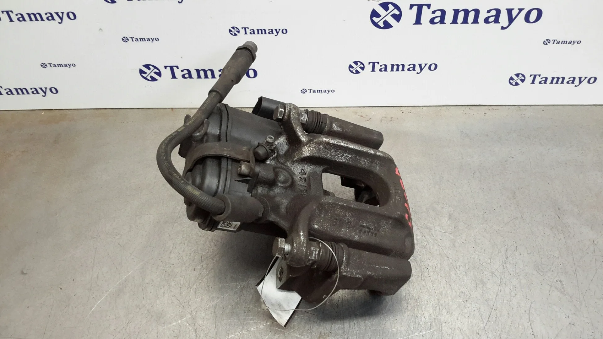 Pinza Freno Trasera Izquierda para Bmw X3 (F25)