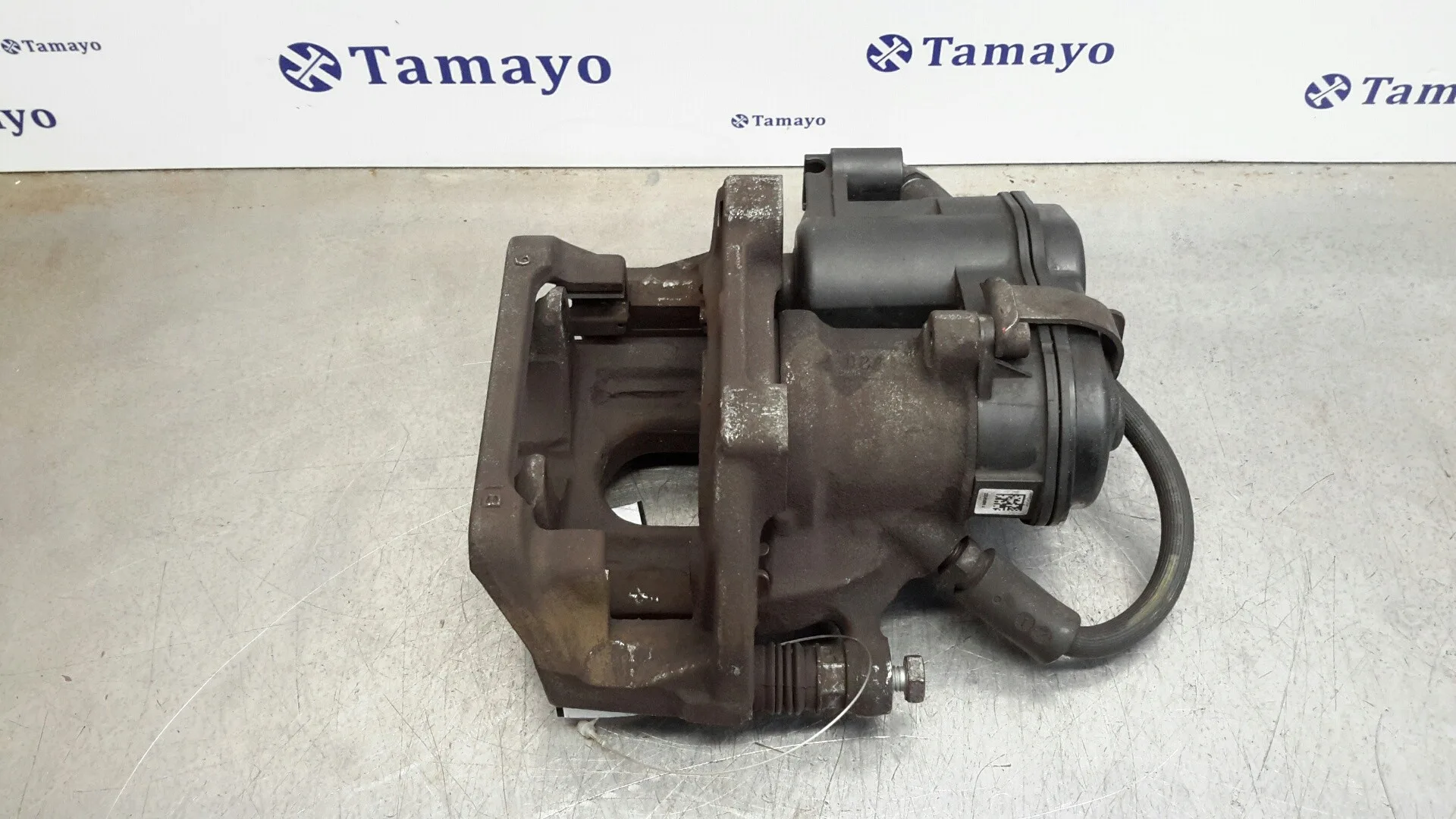 Pinza Freno Trasera Izquierda para Bmw X3 (F25)