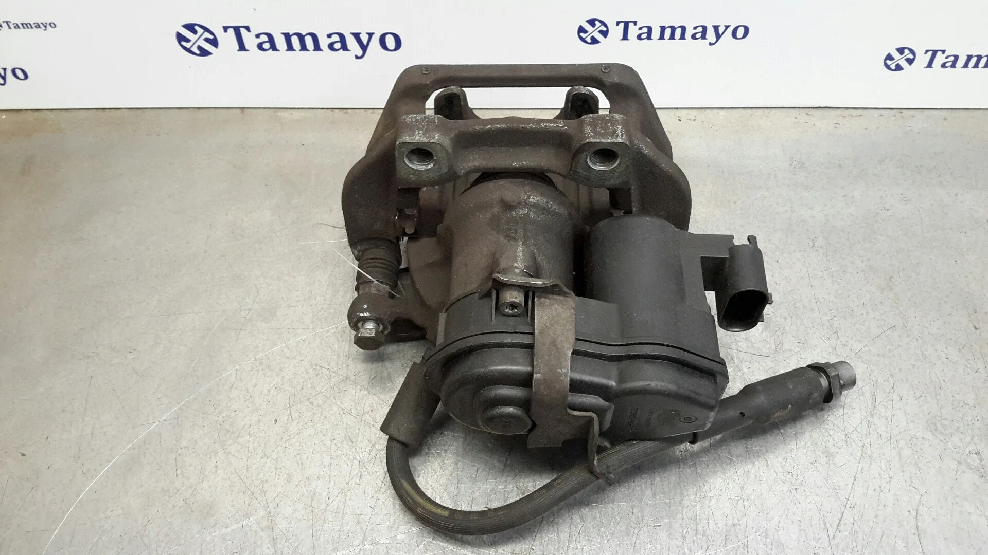Pinza Freno Trasera Izquierda para Bmw X3 (F25)