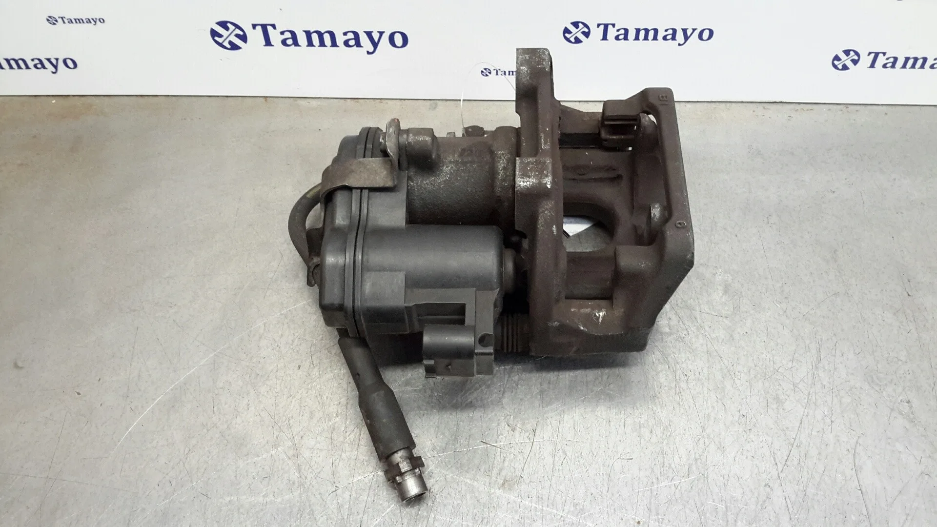 Pinza Freno Trasera Izquierda para Bmw X3 (F25)