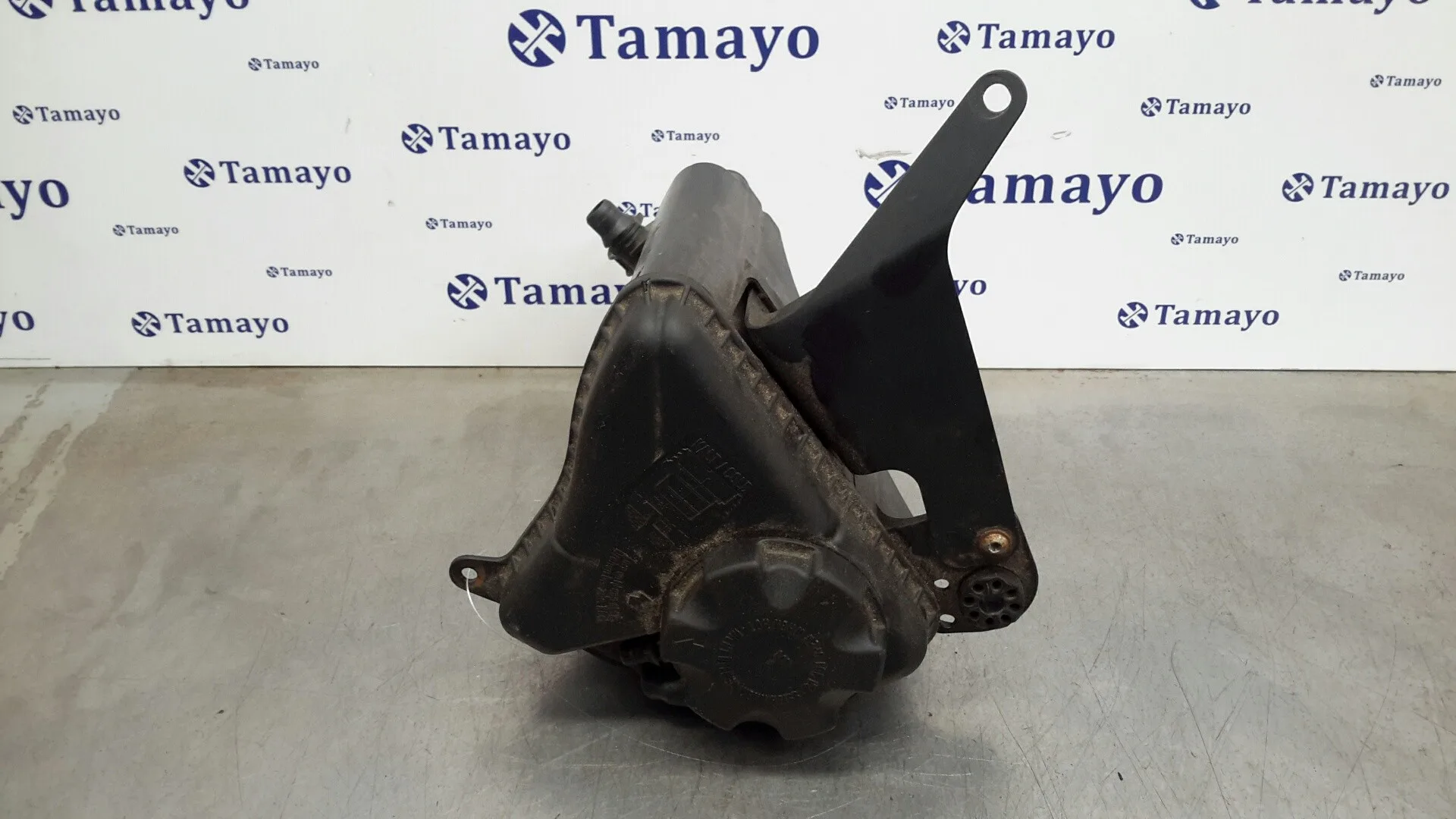 Deposito Expansion para Bmw Serie 5 Lim. (F10)