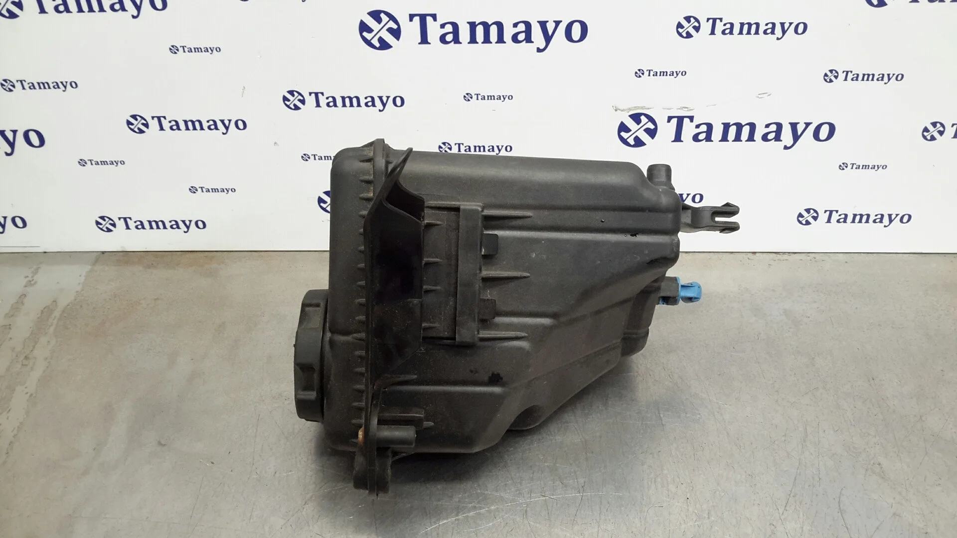Deposito Expansion para Bmw Serie 5 Lim. (F10)
