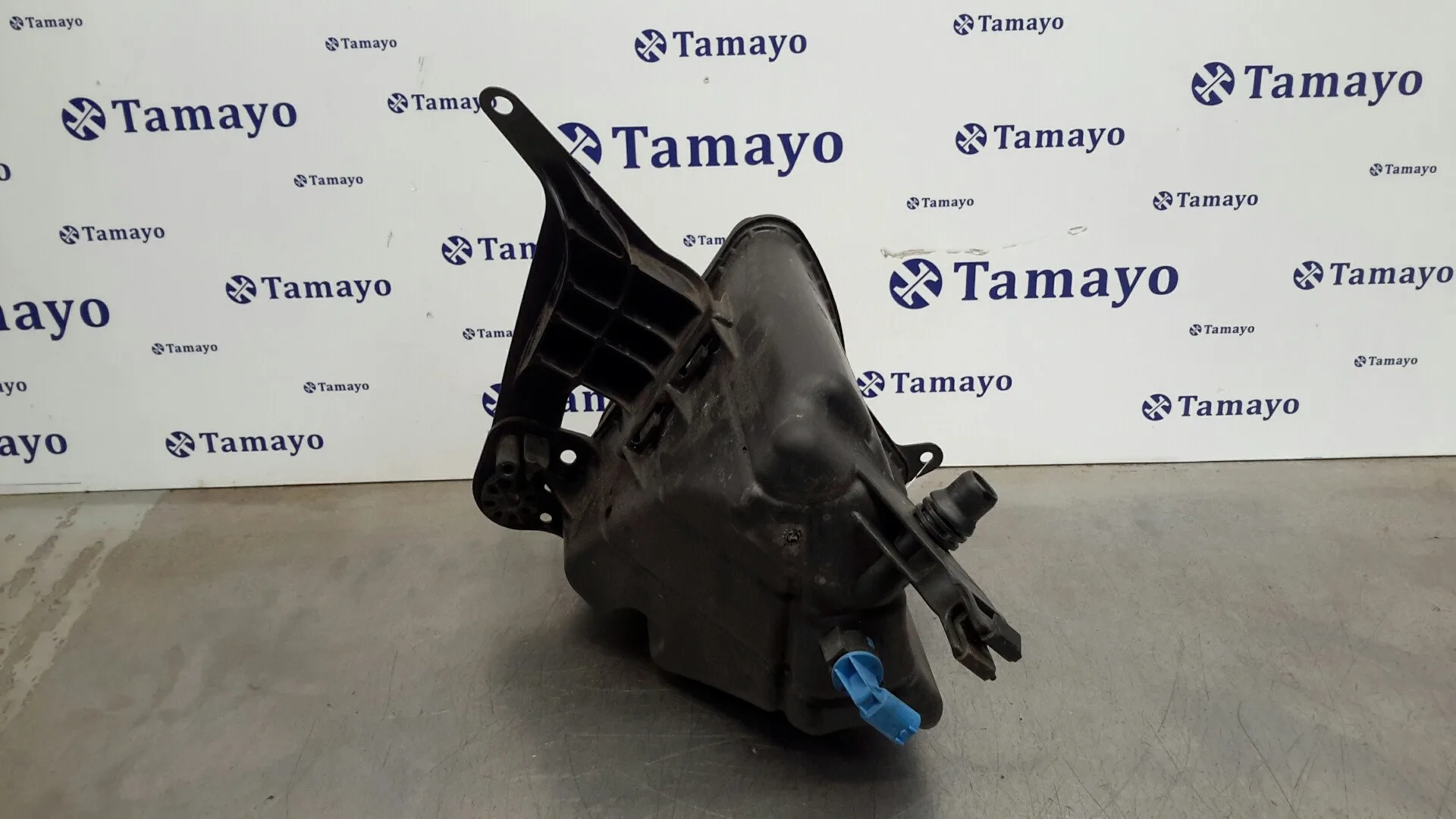 Deposito Expansion para Bmw Serie 5 Lim. (F10)