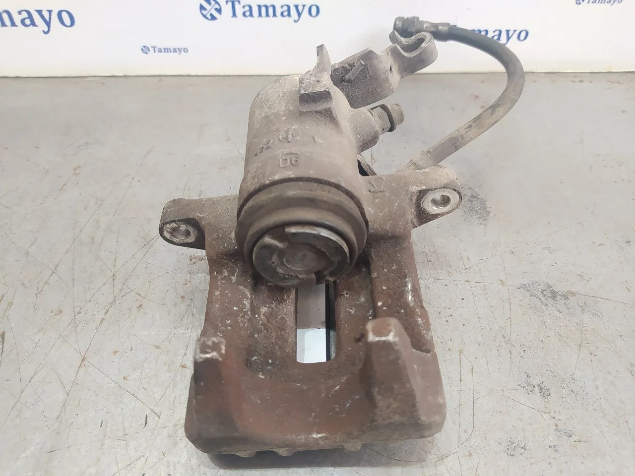 Pinza Freno Trasera Derecha para Volkswagen Golf V Berlina (1K1)