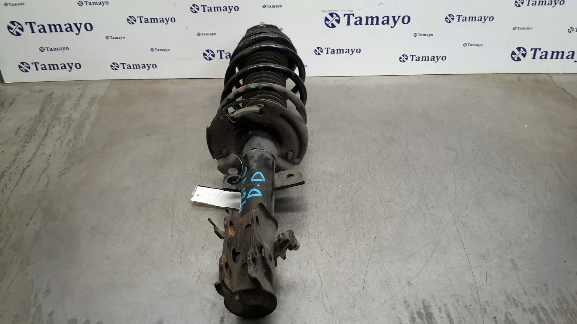 Amortiguador Delantero Derecho para Ford Fiesta (Ccn)
