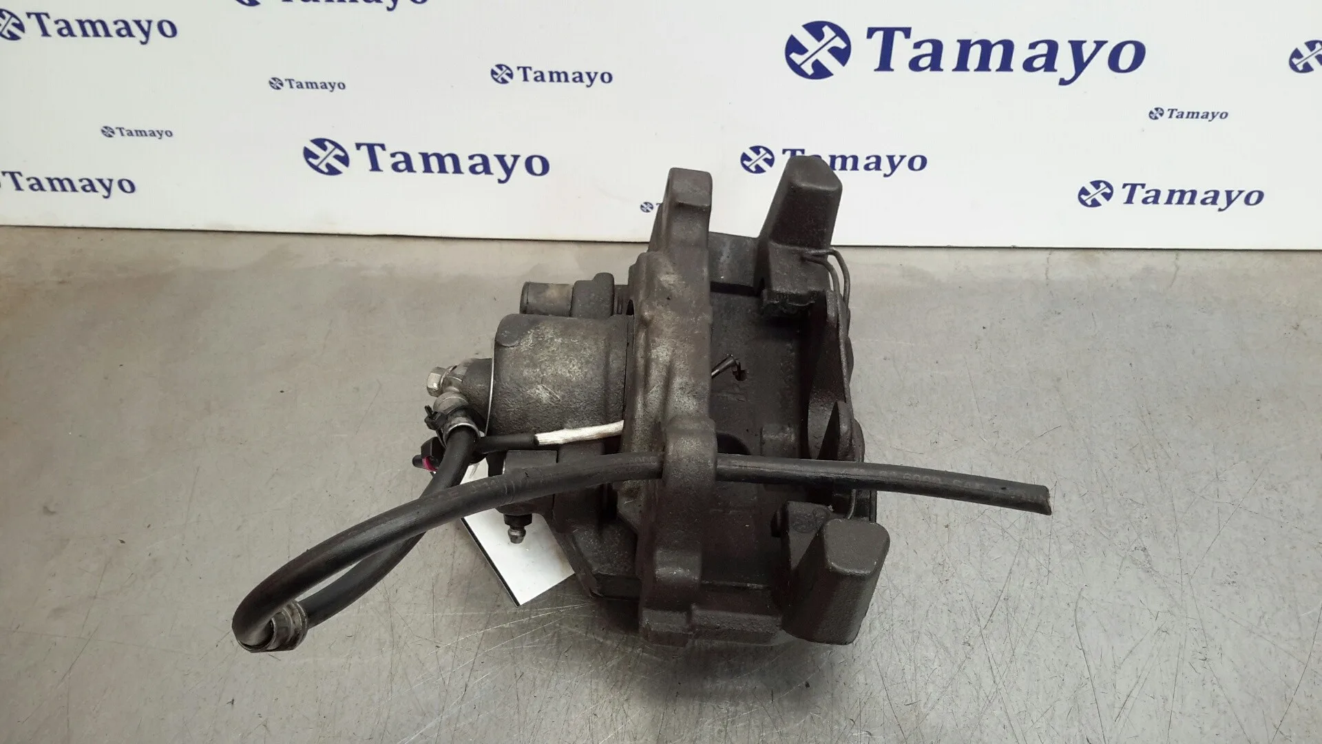 Pinza Freno Delantera Izquierda para Volkswagen Golf V Berlina (1K1)