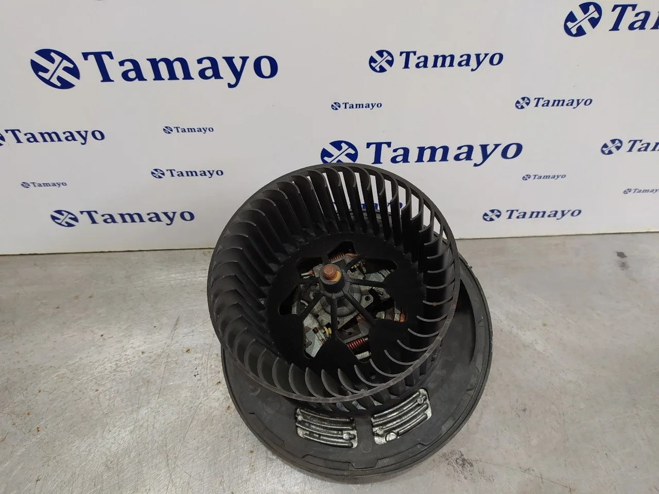 Motor Calefaccion para Bmw Serie 3 Cabrio (E93)