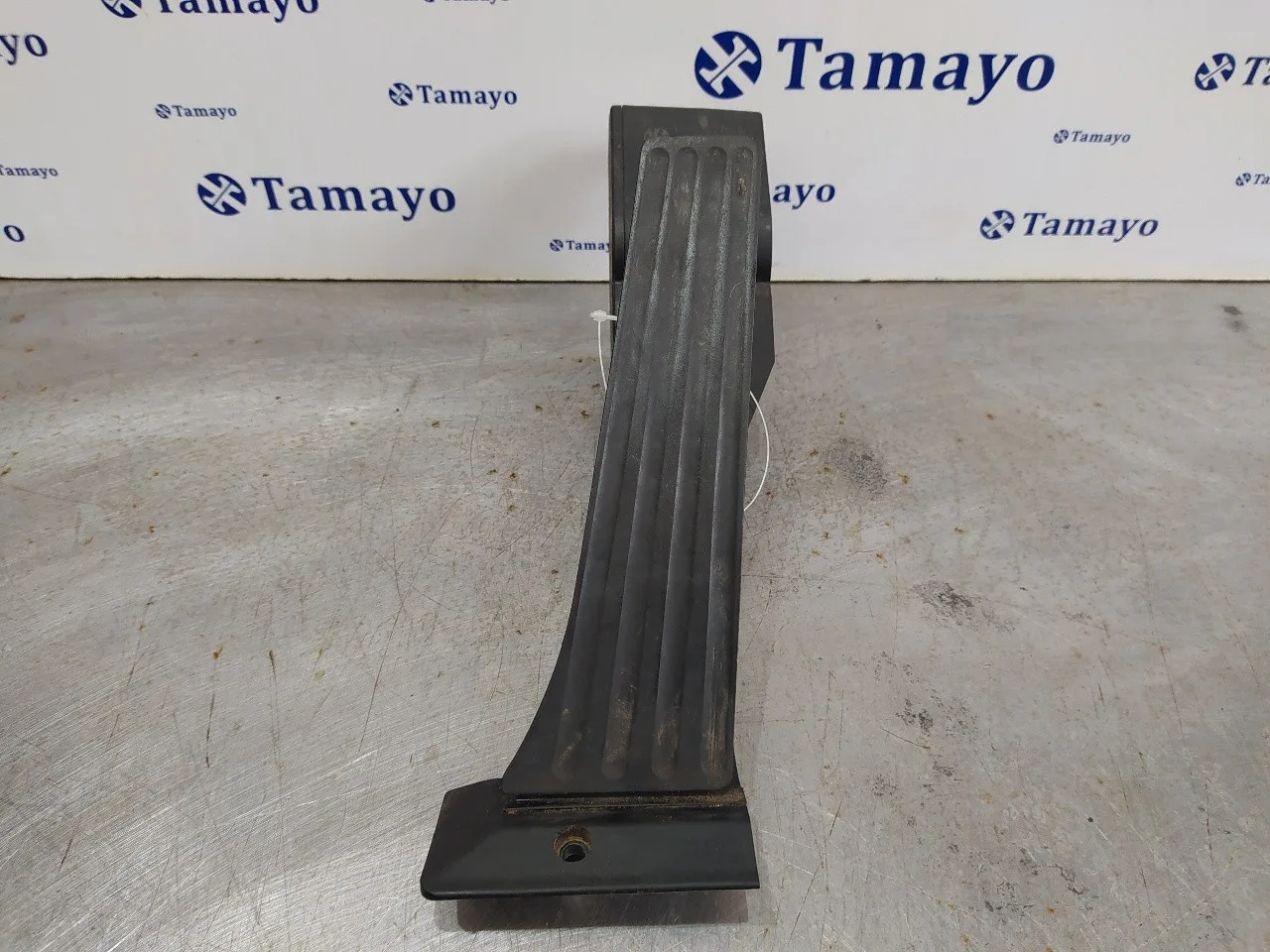 Potenciometro Acelerador para Bmw Serie 3 Cabrio (E93)