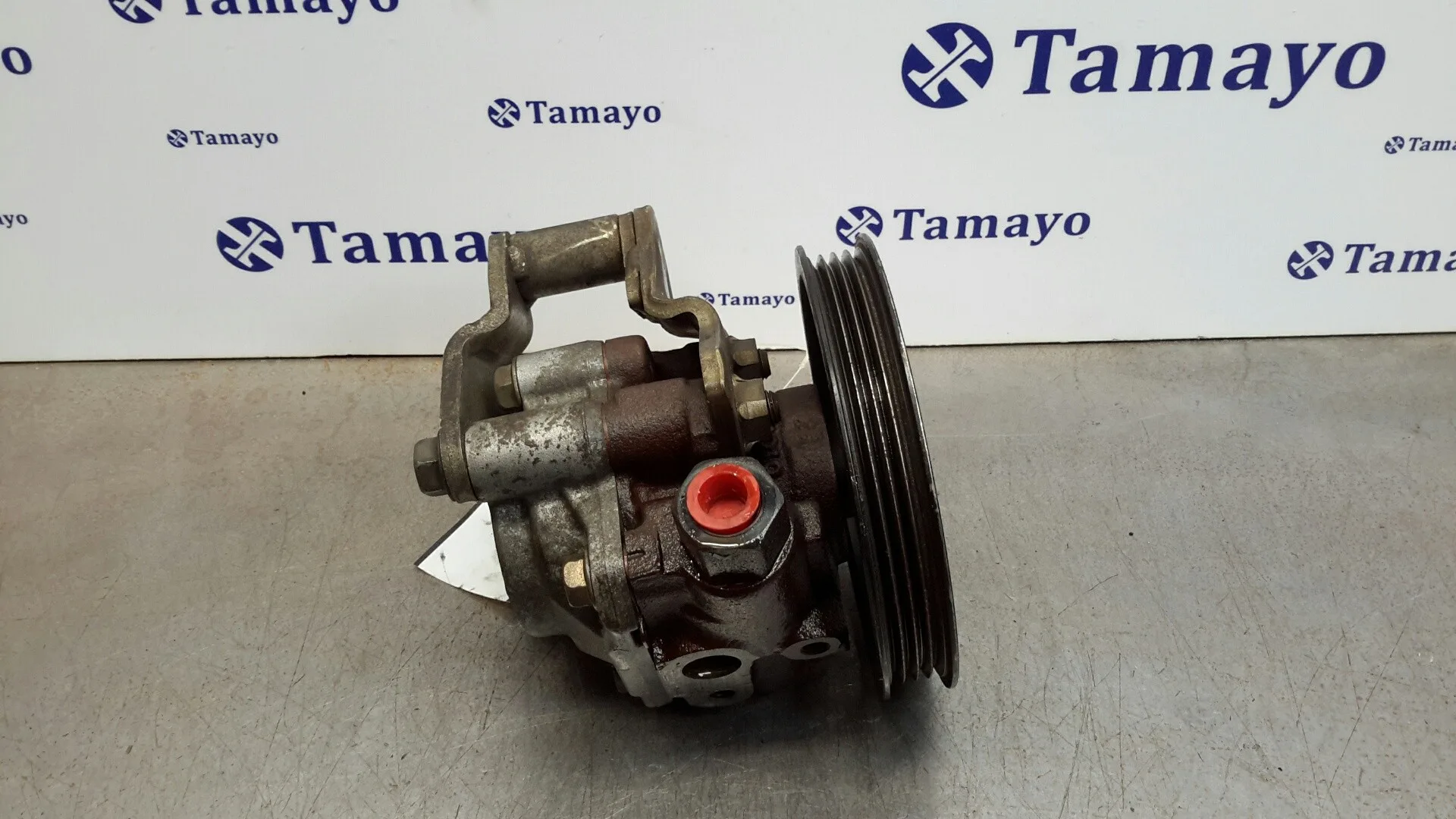 Bomba Direccion para Daihatsu Terios (J100)