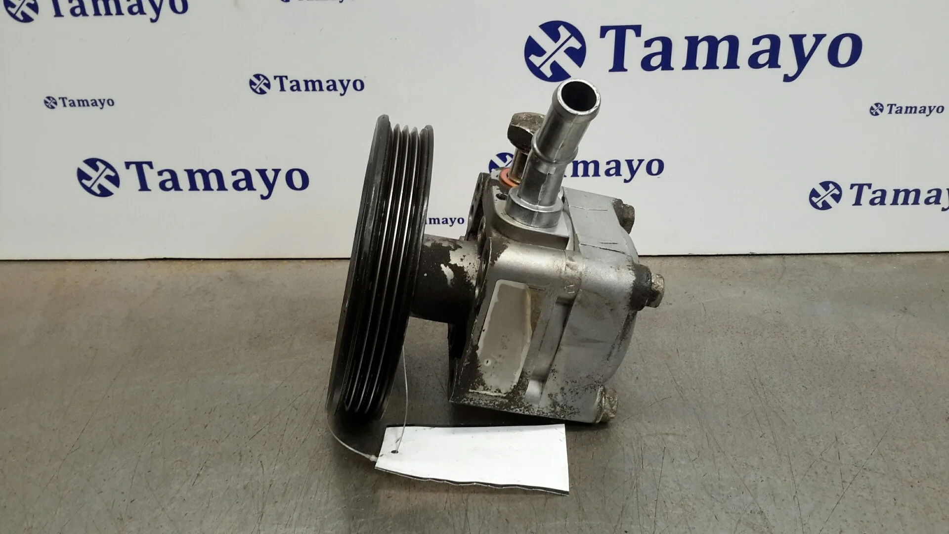 Bomba Direccion para Nissan Almera (N16/E)