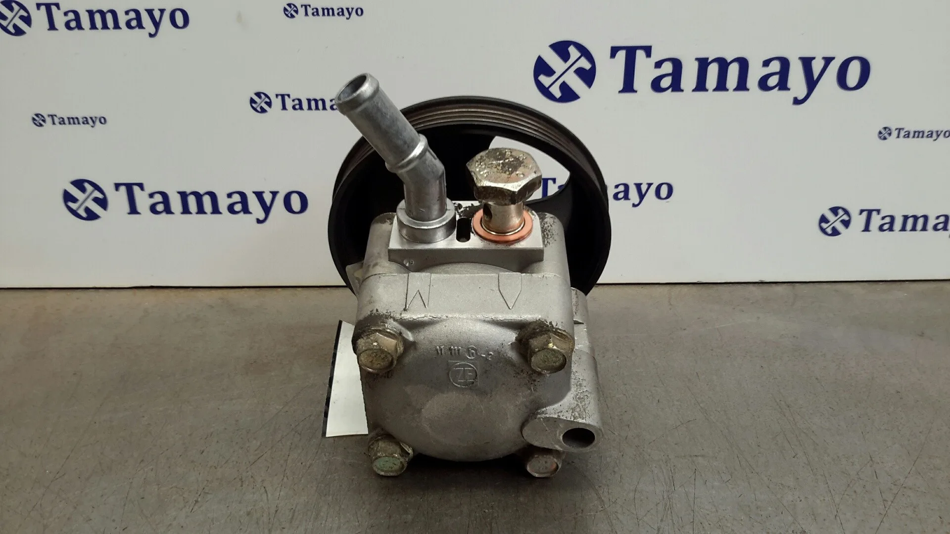 Bomba Direccion para Nissan Almera (N16/E)